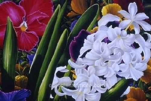Hyacinth by DON PLUMRIDGE